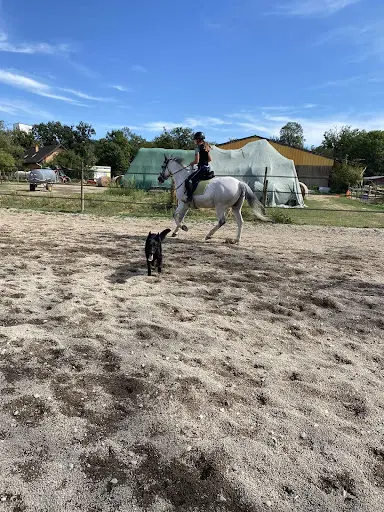 Centre Equestre les Ecuries d'Alsace