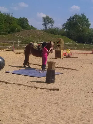 Poney Evasion