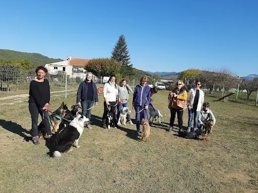 Laurence Boyer Education Canine