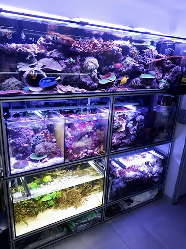 Eas Paysages Aquatiques