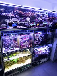 Eas Paysages Aquatiques
