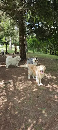 Eti’n’dog