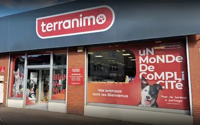 Terranimo Epernay