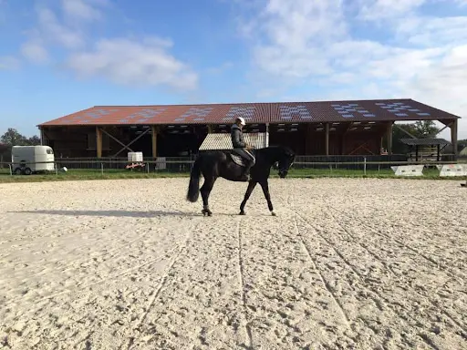 Centre Equestre le Fleuriel Earl