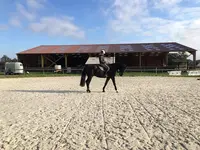 Centre Equestre le Fleuriel Earl