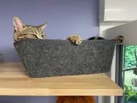 Hôtel Maurice, Pension Pour Chats