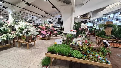 Jardiland
