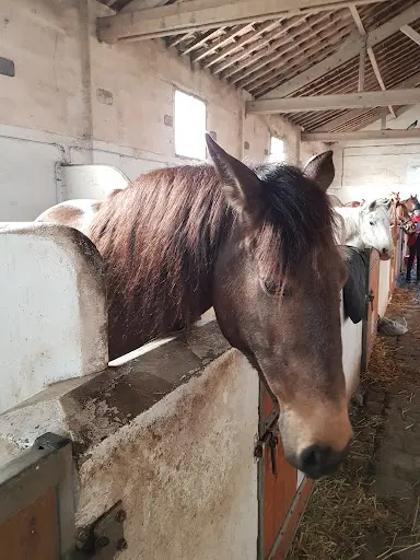 Les Ecuries de la Ferme d'Eragny