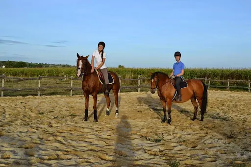 Ecuries de la Liotais