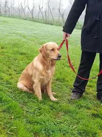 Amicale Canine Vernoise