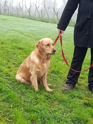 Amicale Canine Vernoise