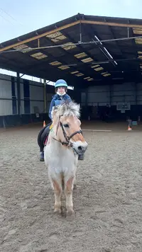 Centre Equestre Arche Equiloisirs