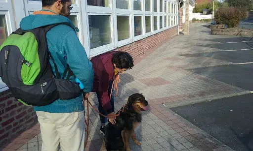 Reflex Canin