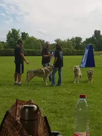 Club Canin d'Erstein