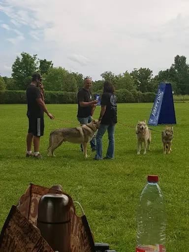 Club Canin d'Erstein
