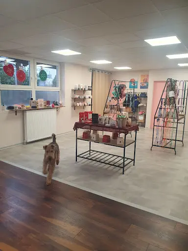 Le Troquet des Poilus - Pet Store, Café, Dogwash