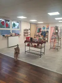 Le Troquet des Poilus - Pet Store, Café, Dogwash