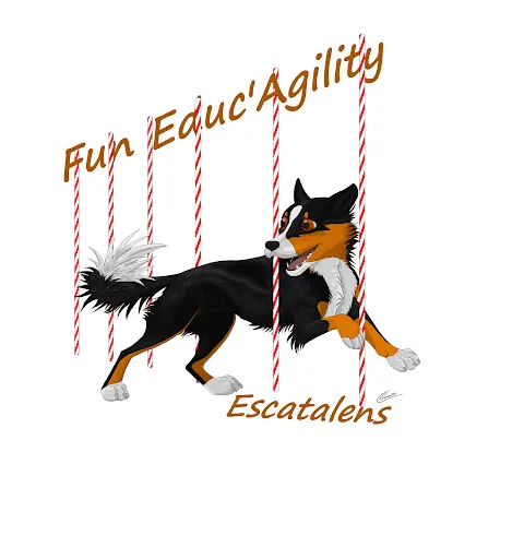 Fun Educ Agility