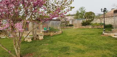 Des Pat O Cou - Centre de Vacances Pour Chiens