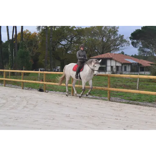 Centre Equestre d'Escource