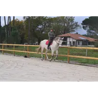Centre Equestre d'Escource