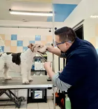 l'Esthetichien Toilettage Canin
