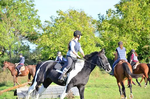 Les Cavaliers du Causse