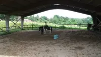 Le Cheval de 3