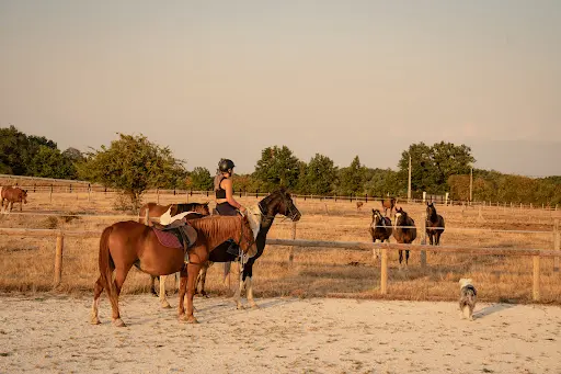 Domaine Carlindia