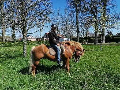 Cheval Nature et Découverte