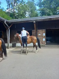 Alpes Équitation