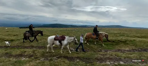 Beltie Ranch - Randonnees Equestres & Vente Directe Bouef Galloway A la Ferme