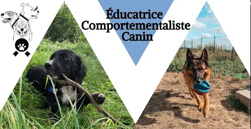 Educ Soulmate