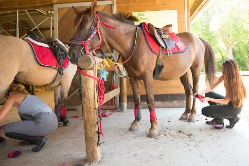 Poney Club de l'Île de Loisirs d'Etampes