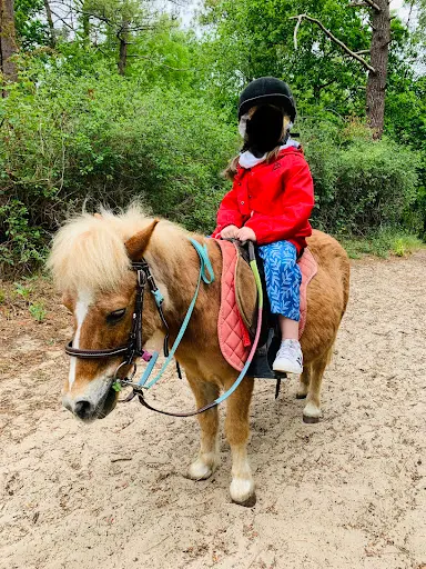 Poney Club de Rombly