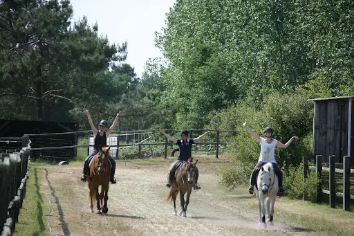 Haras de la Fauconnerie