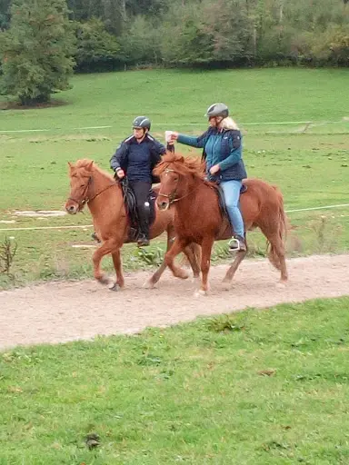 l'Écurie des Sources - Chevaux Islandais