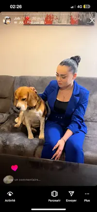 Out Dog 89