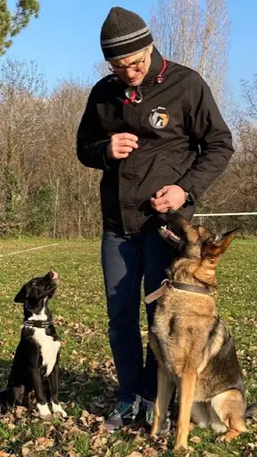 Nos Chiens Education