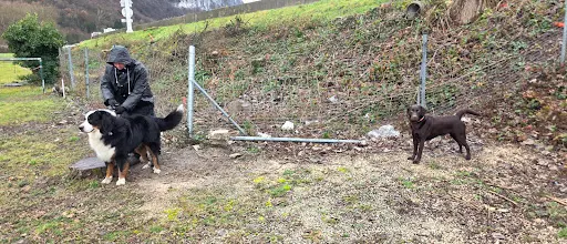 Entente Canine Etrembieres