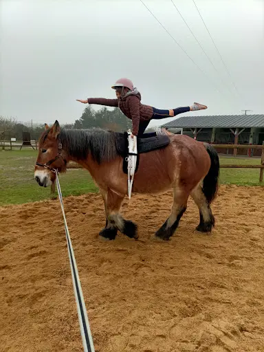 Écurie Jul Hyppos Équitation