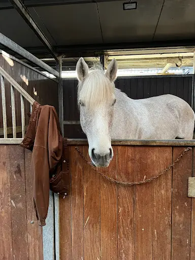 Haras de Valeme