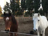 Centre Equestre d'Eygalières