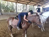 Centre Équestre Poney-club des Couroulus