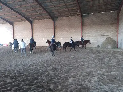 Centre Equestre des Oliviers