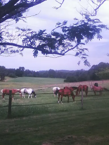 Equi-libre 24