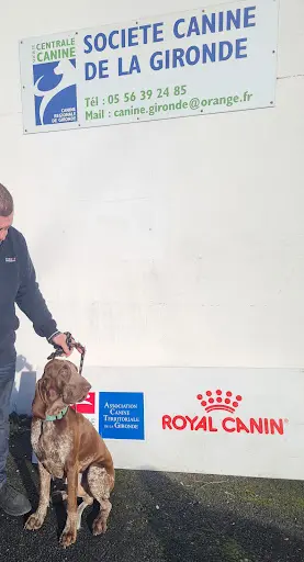 Canine de la Gironde
