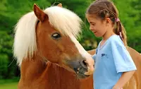 Centre Équestre & Poney Club D’ezanville