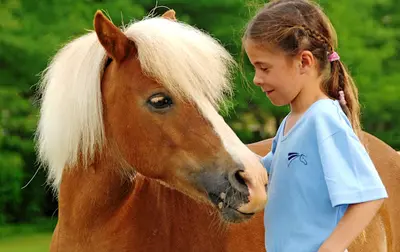 Centre Équestre & Poney Club D’ezanville