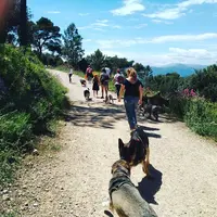 François Illy - Sirius Education Canine À Domicile